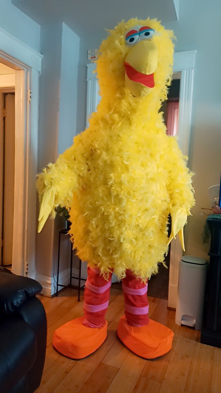 Big Bird