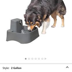 Pet 2 Gallon Fountain 