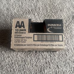 Duracell Coppertop AA 