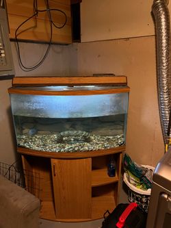 55 gallon fish tank and stand