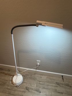 OttLite Floor Lamp with Flexible Gooseneck