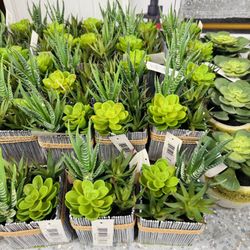 Mini Artificial Plants & Decorative Flower Pots – Assorted Styles