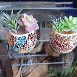 *** REDUCED *** Mini-Mosaics with Polished Stone / Succulents @ Lasting Creations