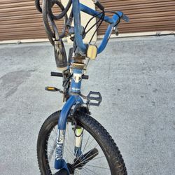 Single Speed Beach Cruiser Bike 