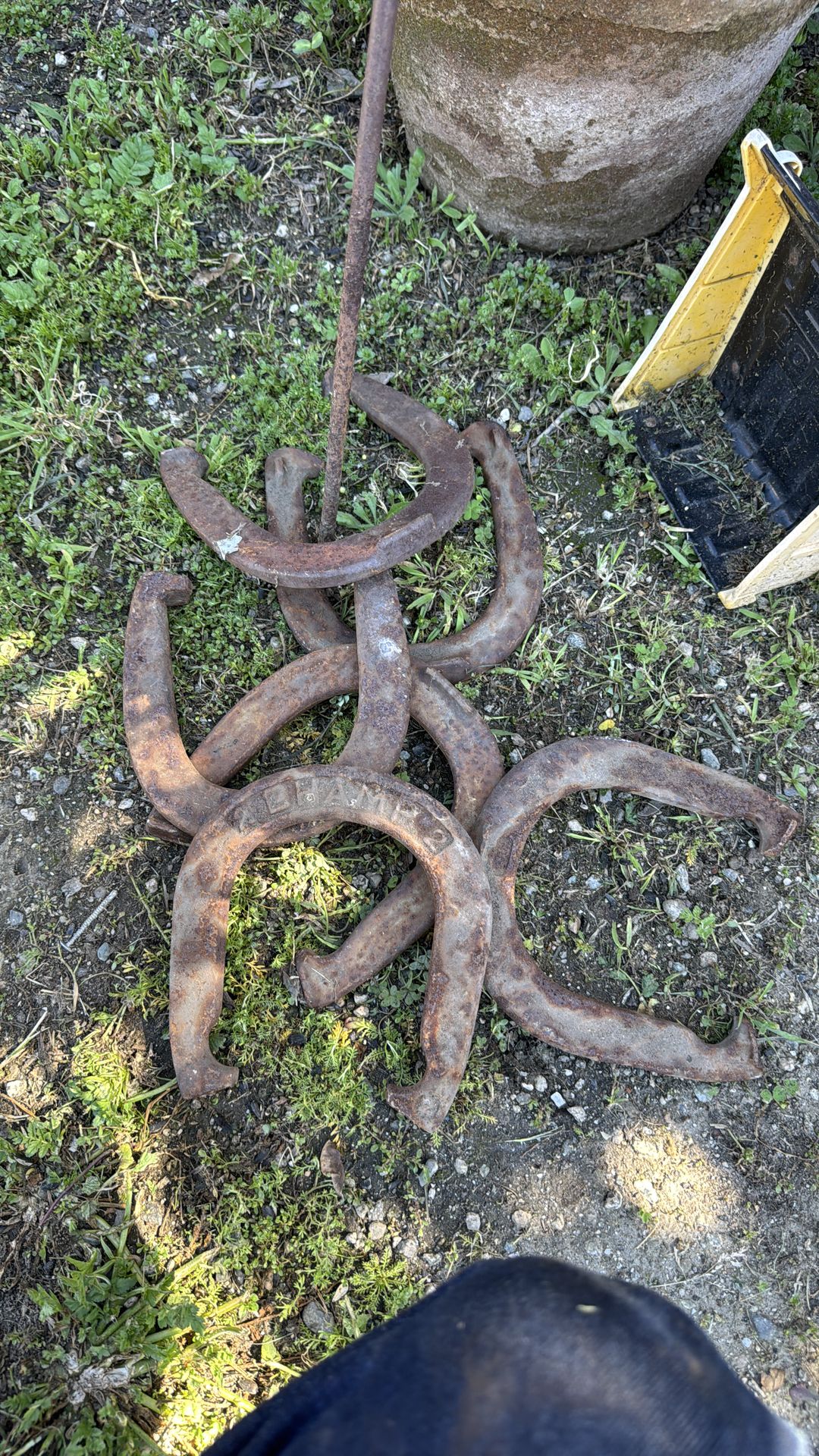HORSESHOES (6)