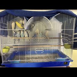 birds cage 1x $25 or 2x40