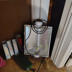 Hood, Ballast And Bulbs