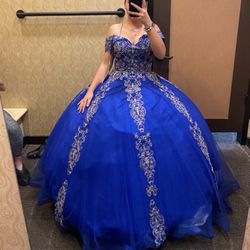 Royal Blue Quince Dress Size L 