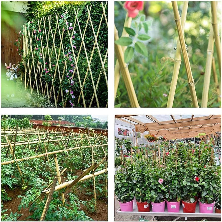 3 Foot Bamboo Stakes For Gardens & DIY