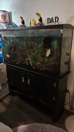 Fish tank