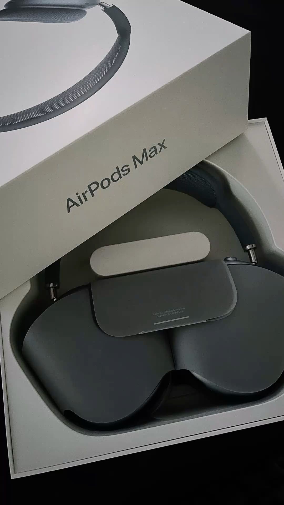 Air Pod Max
