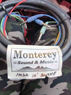 Hosa 10ft Audio Snake Cable