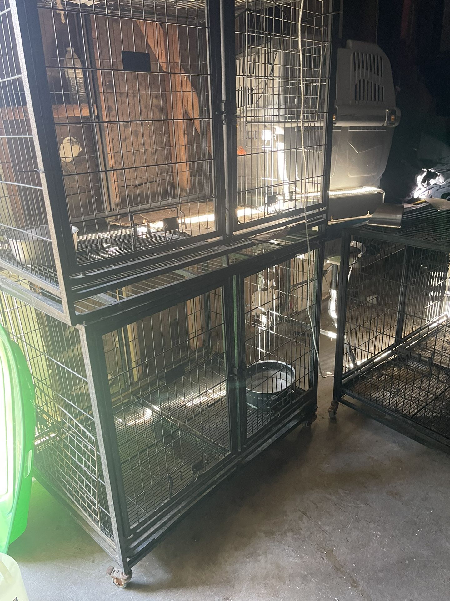 Dog Crates
