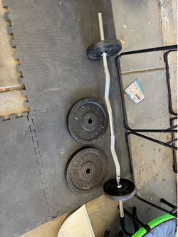 Curl Bar w Weights