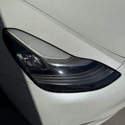 Tesla Passenger Side Headlight Model Y