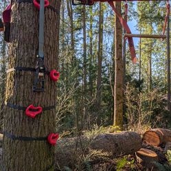 Ninja Line And Tree Climbers