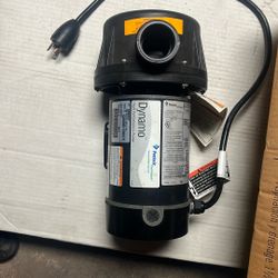 PENTAIR  Dynamo  Above ground Pump