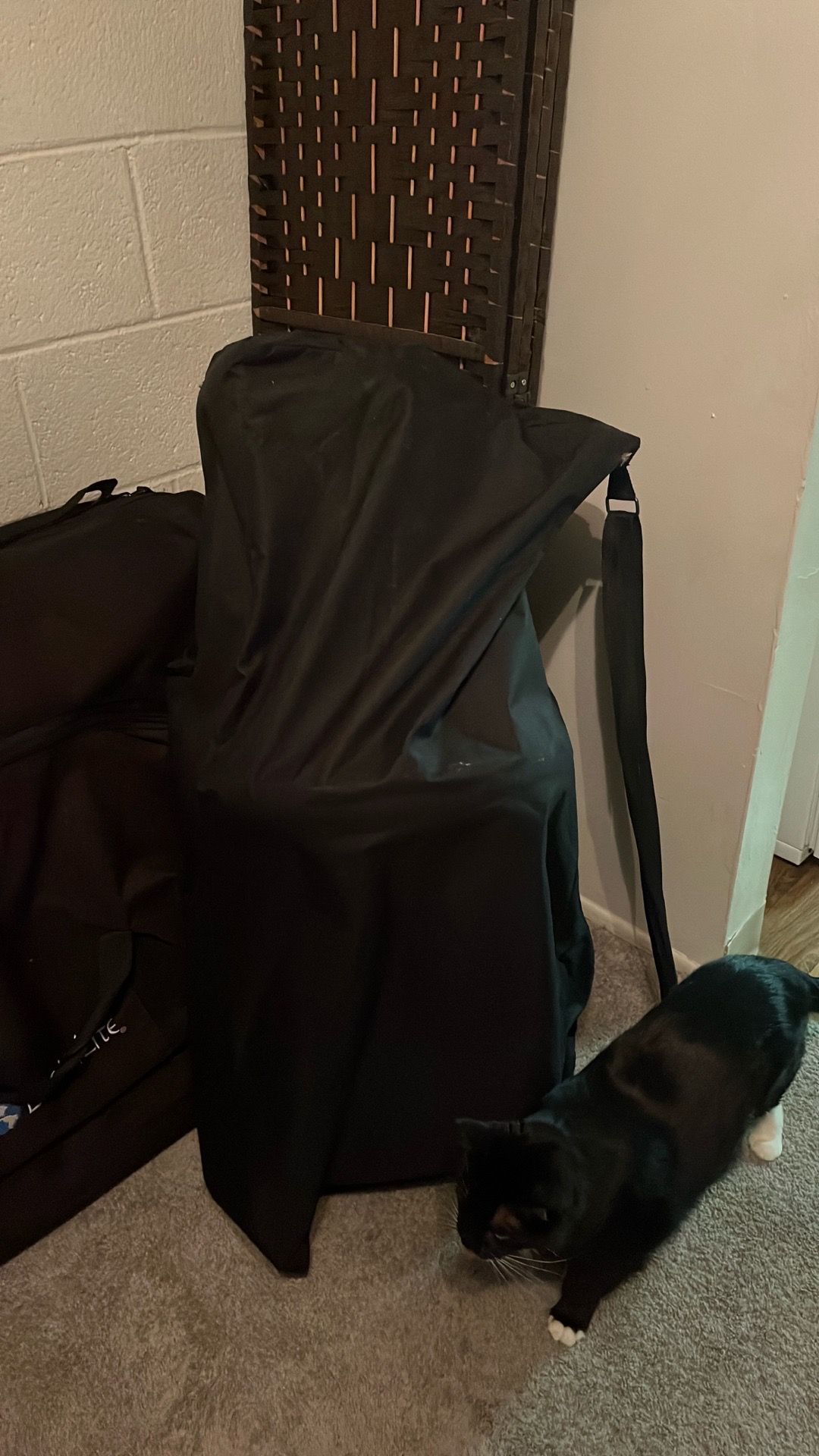Massage chair