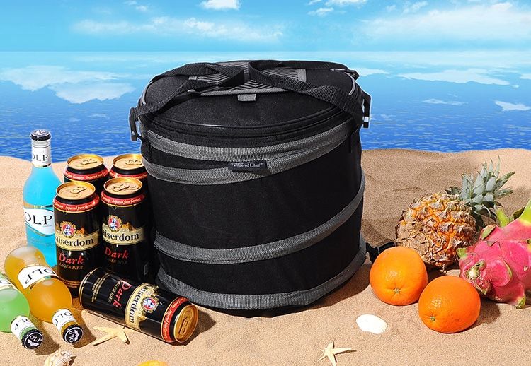 Pampered Chef Large Insulated Cooler