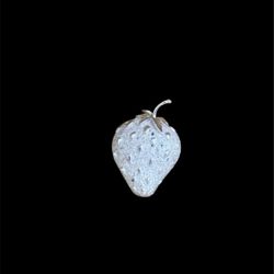Vintage 1968 Sarah Coventry Strawberry Fashion Brooch