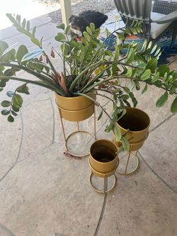 Planters