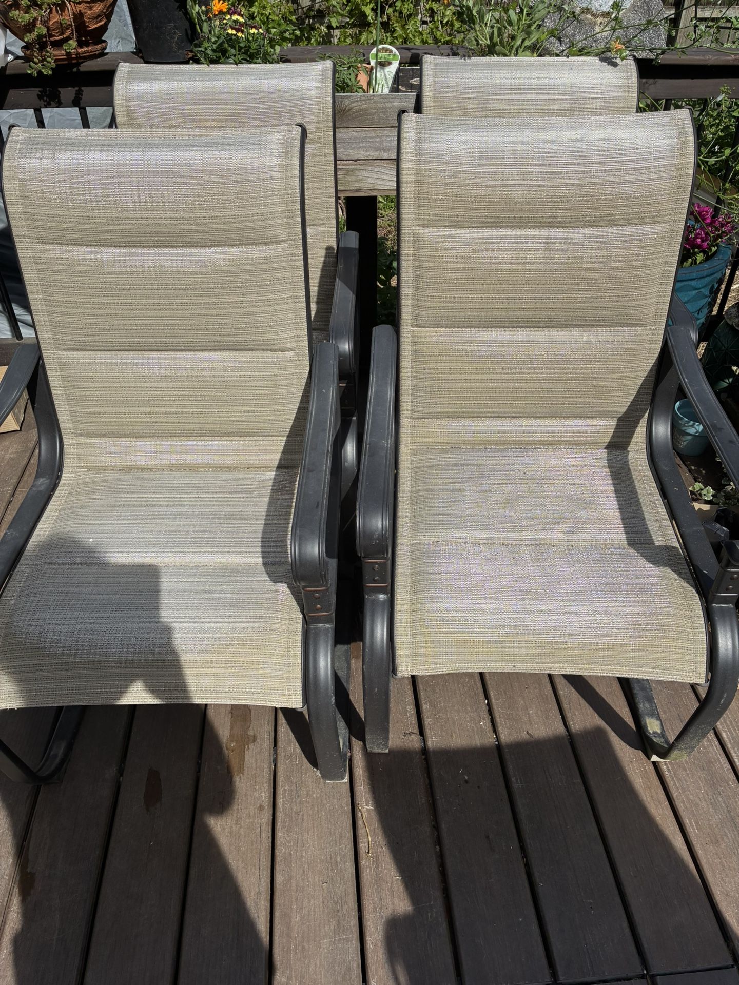 Patio Chairs