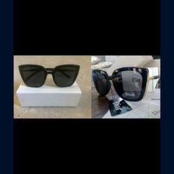 Sunglasses, Glasses, Dustbsg, Cleaning Cloth, Case And gift Box. Brand New.. 0015