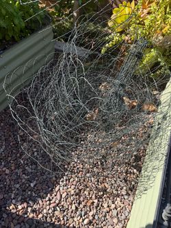 FREE - Garden Fencing