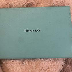 Tiffany & Co Rare 2018 Teal Leather Planner Notebook 