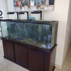 150 Gall fish Tank