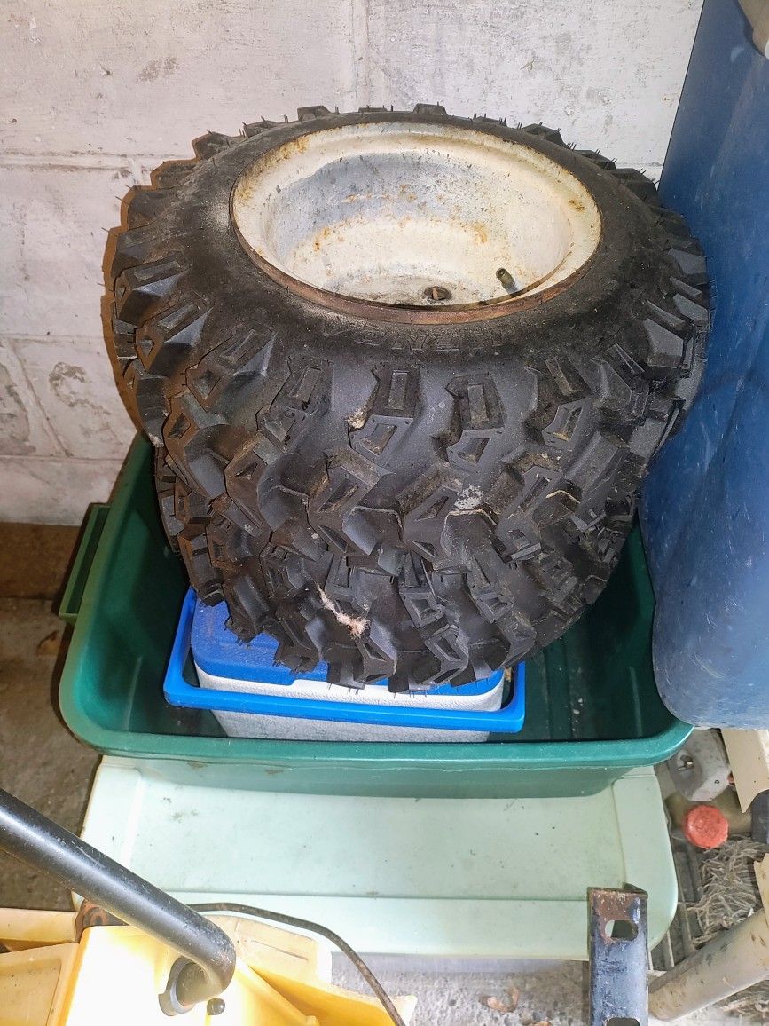 Snow Blower Tires 