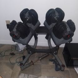 Bowflex Adjustable Weights Set And Stand