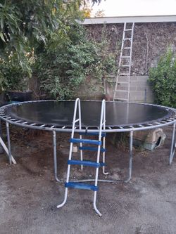 Trampoline/ Brincolin