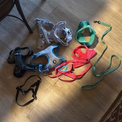 Dog Harness 