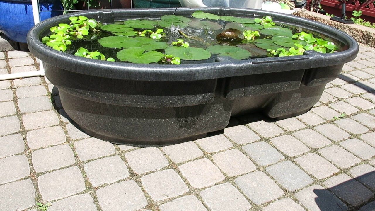 Rubbermaid 50 Gallon pond container tank