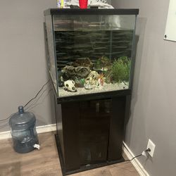 60 Gallon Fish Tank 