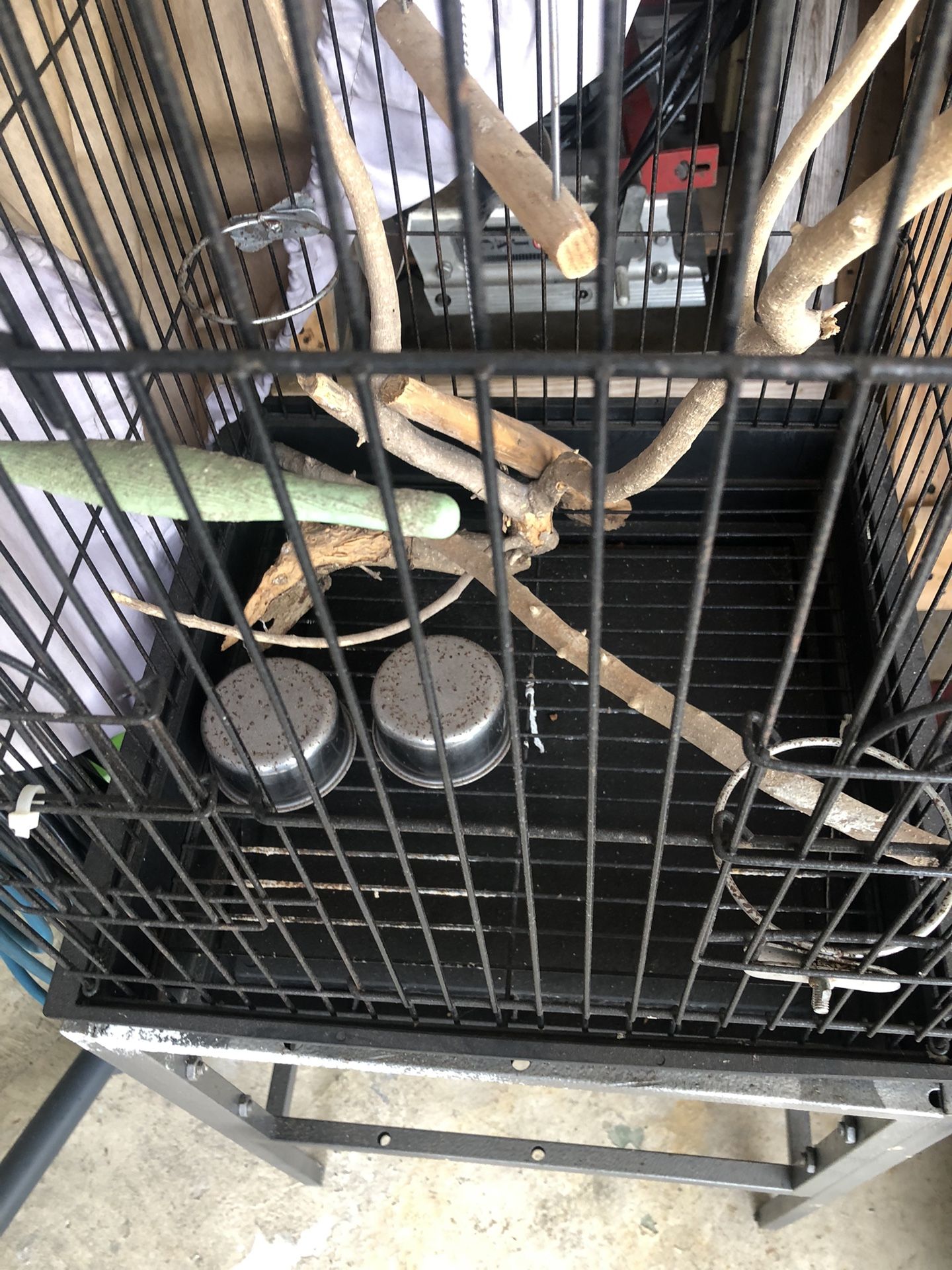 Bird Cage