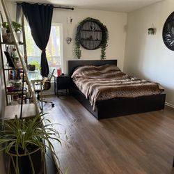 Renting 1 Bed With Private bath