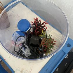 Fish Tank, Pump And Accessories