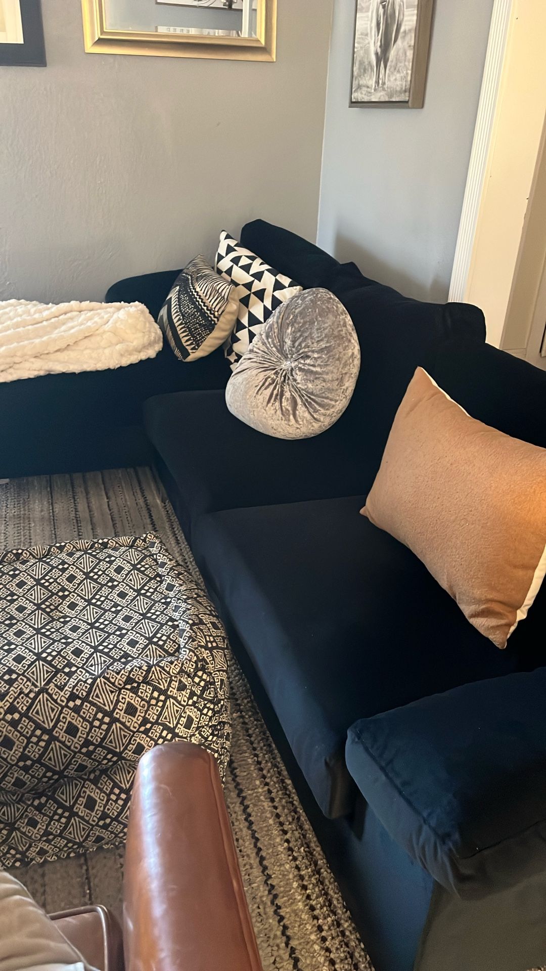 Black Velvet Couches