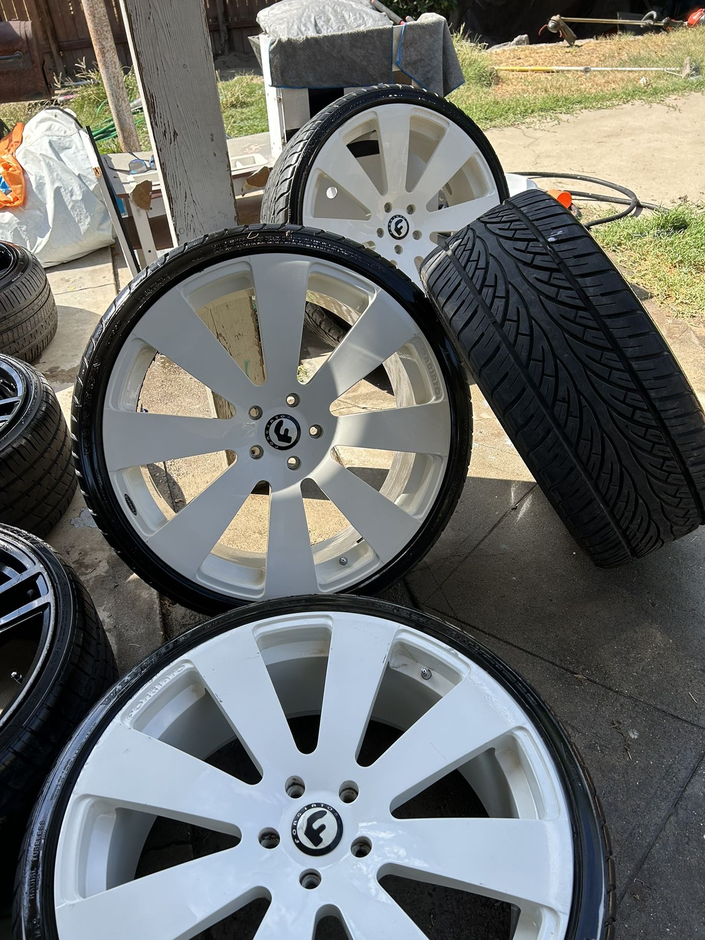 Forgiatos 24’s