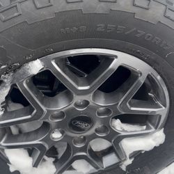 2025 17" Ford Ranger OEM Wheels & Tires