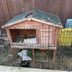 Free Bunny Rabbit  Hutch 