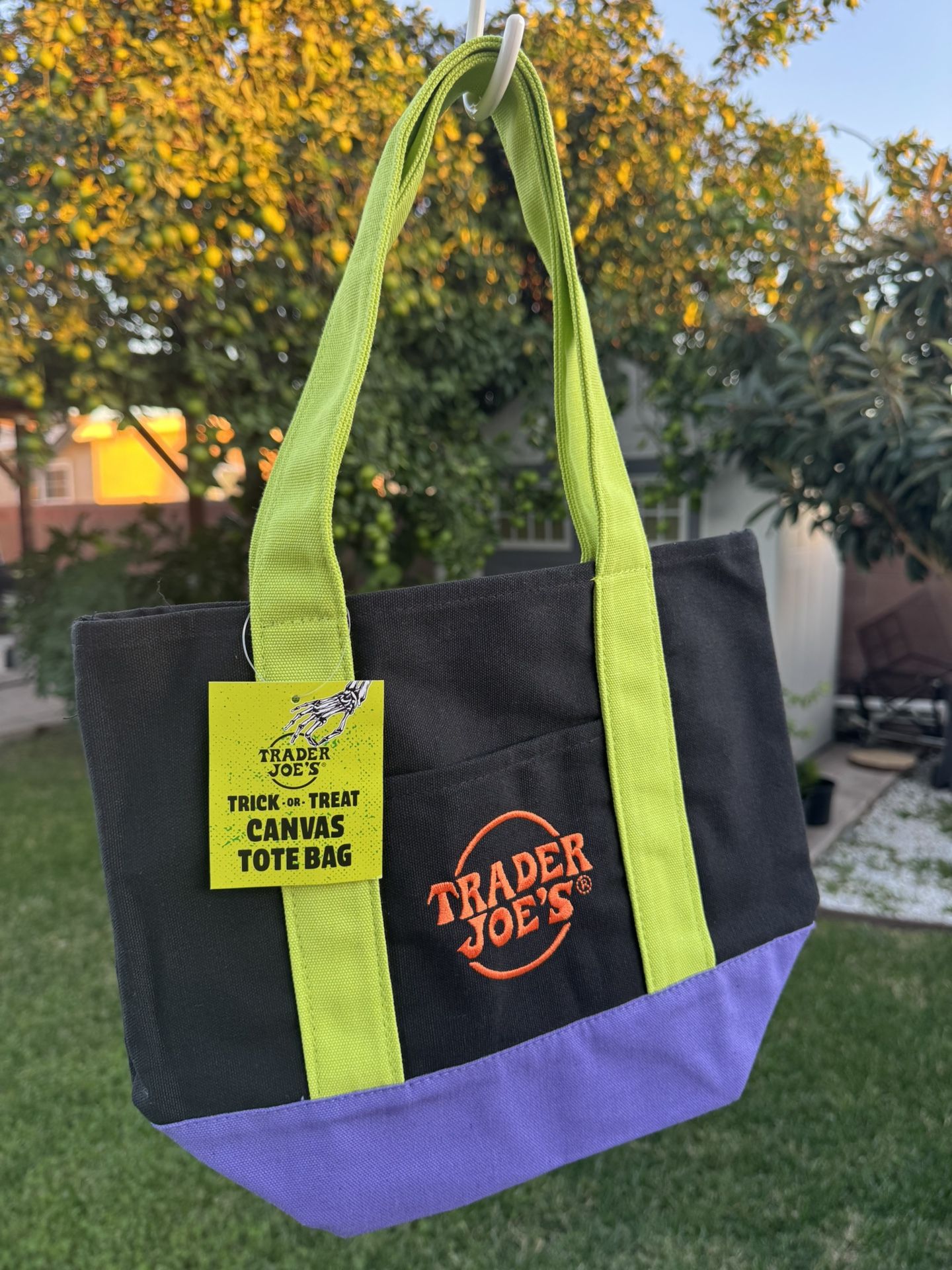 Trader Joe’s Mini Tote Bags