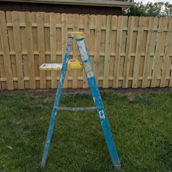 5 Foot Ladder 