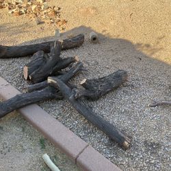 Dried Mesquite Wood Free Come Get It