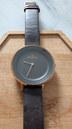 Skagen Ditte SKW2216 Women's Gray Leather Analog Dial Quartz Wrist Watch JNATO00