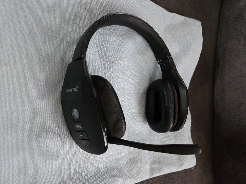 Blue Parrott Headphones 