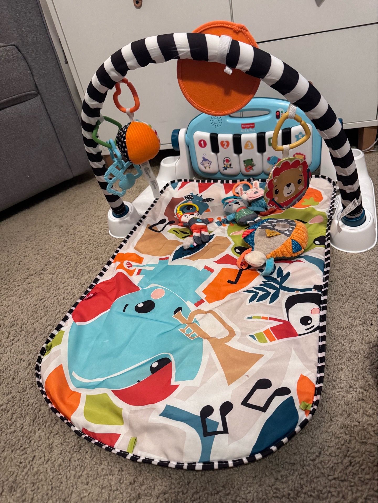 Fisher Price Playmat