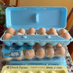 4 Dollars For 12 Chicken Eggs(homemade eggs)